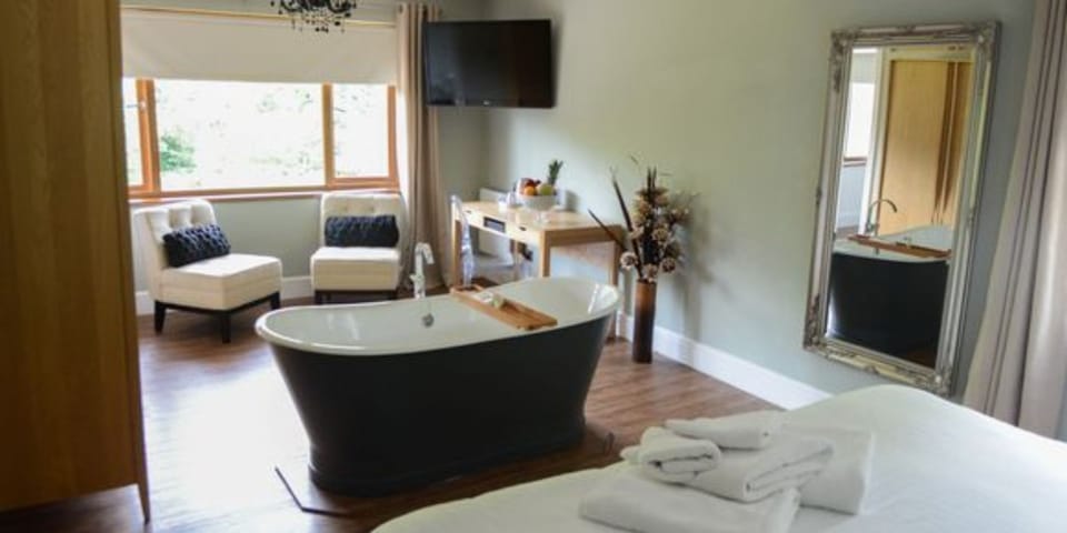Room, Bathtub - no pets allowed | In-room safe, individually decorated, individually furnished, desk