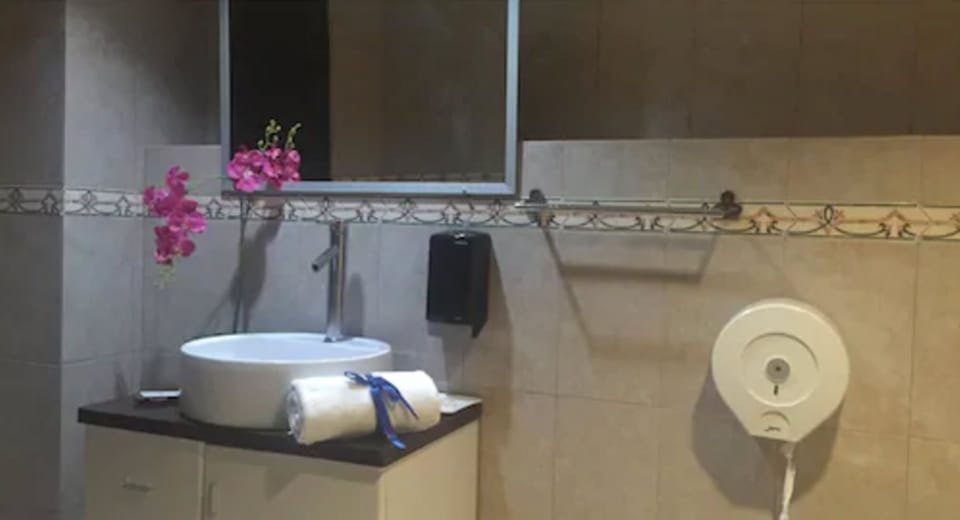 Shower, free toiletries, hair dryer (on request), towels