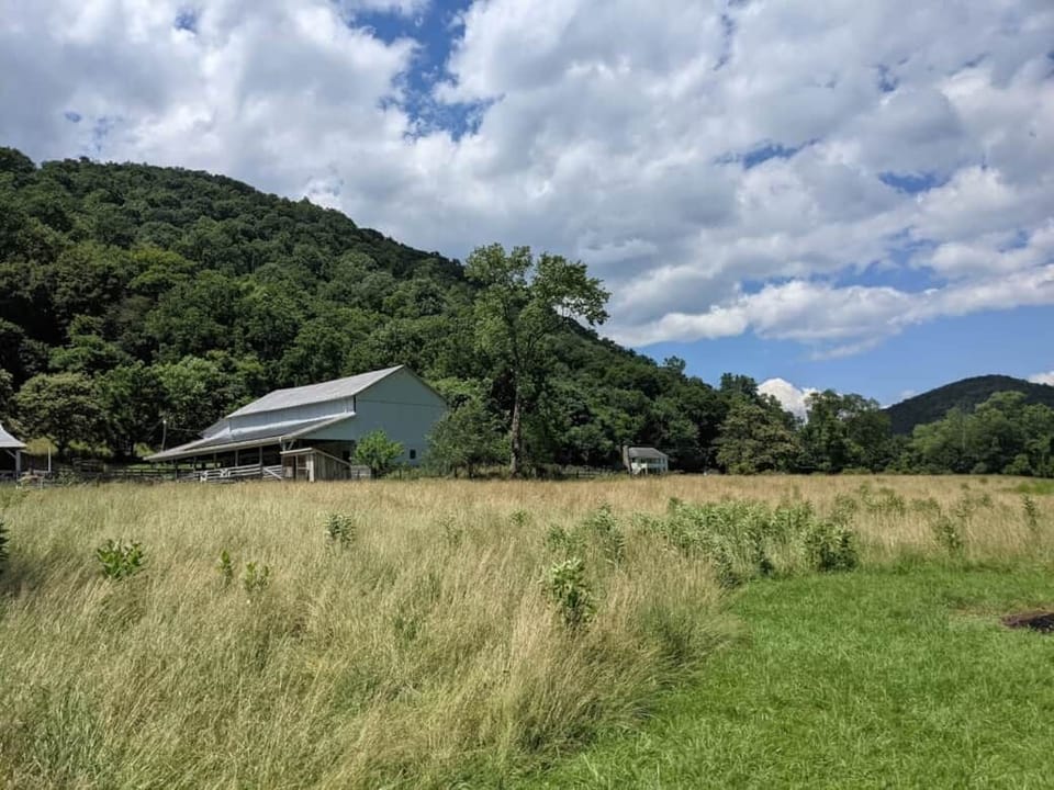 View of the barn from the boat launch