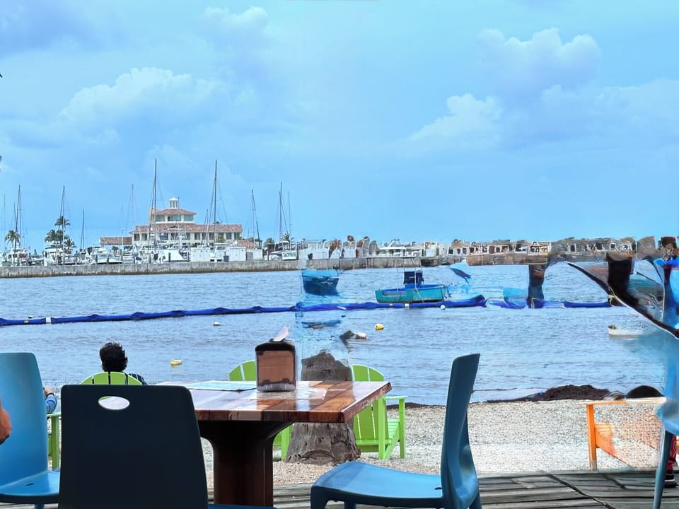 La Pescaderia view