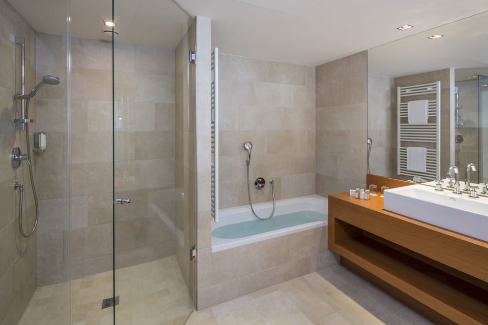 Shower, hair dryer, bathrobes, towels