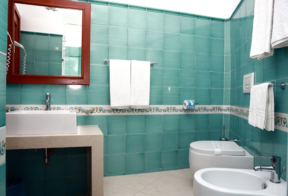 Shower, free toiletries, hair dryer, bathrobes
