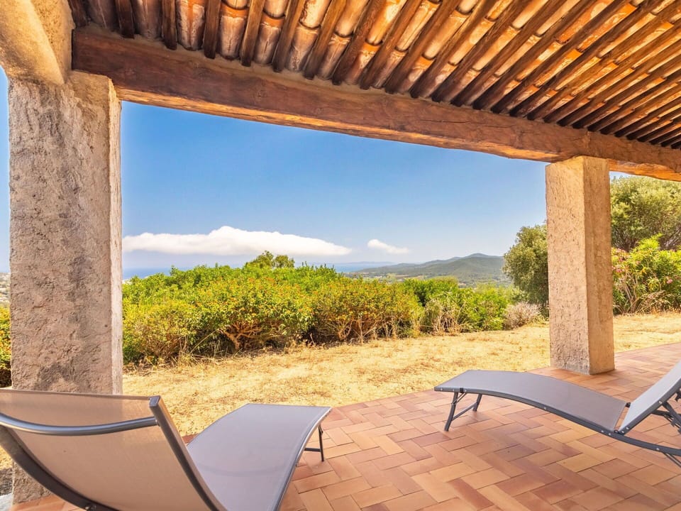Plant, Sky, Property, Light, Shade, Wood, Lighting, Interior Design, Sunlight, Outdoor Furniture