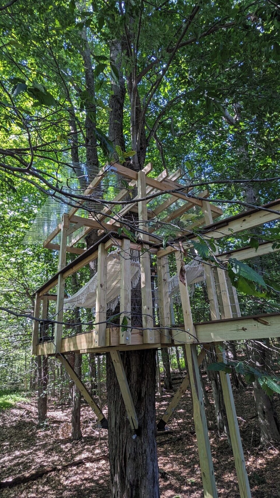 Imagine relaxing and hanging out in the middle of the woods