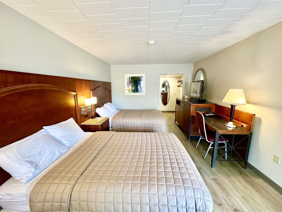 Basic Double Room | Desk, soundproofing, iron/ironing board, free WiFi