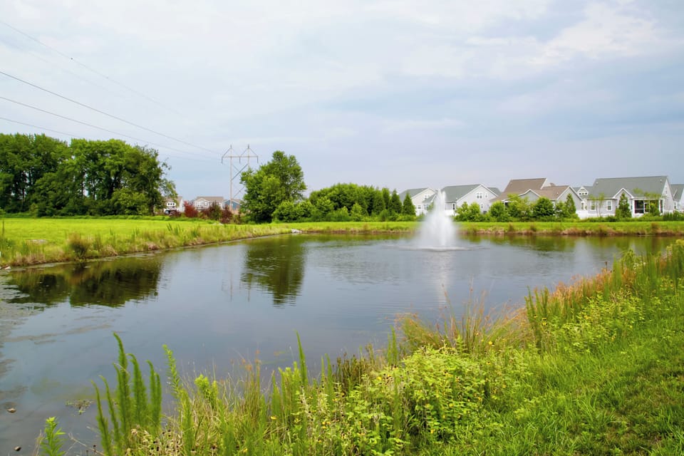 Optional Community Amenity Fee