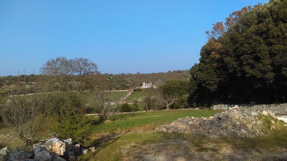 House | Property grounds