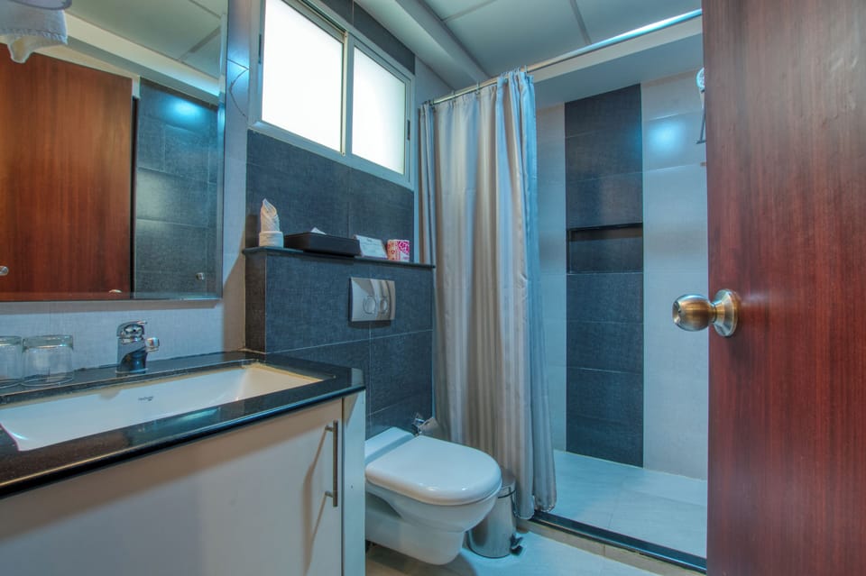 Superior Room | Bathroom | Shower, rainfall showerhead, free toiletries, hair dryer