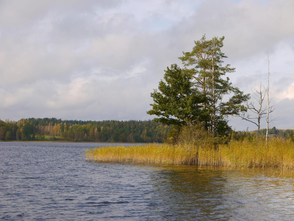 Lake