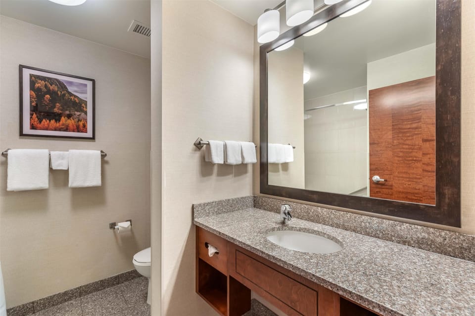 Combined shower/tub, free toiletries, hair dryer, towels