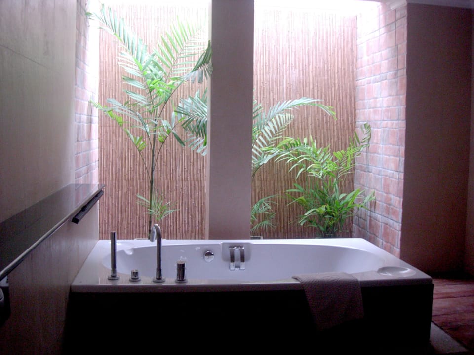 Deluxe Suite - All Meals + Ayurveda Treatment + Yoga, Herbal Garden View | In-room safe, individually furnished, desk, iron/ironing board