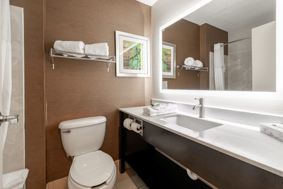 Combined shower/tub, eco-friendly toiletries, hair dryer, towels