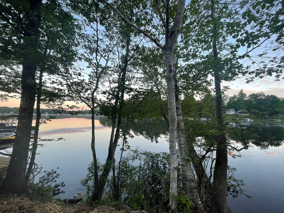 Sunrise on the lake is as special as sunset!!! 