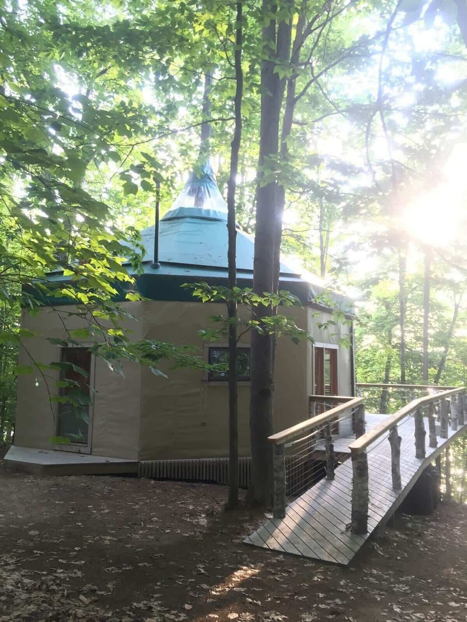 The Oaktagon Treehouse:  Annie the Oak tree has been here longer.