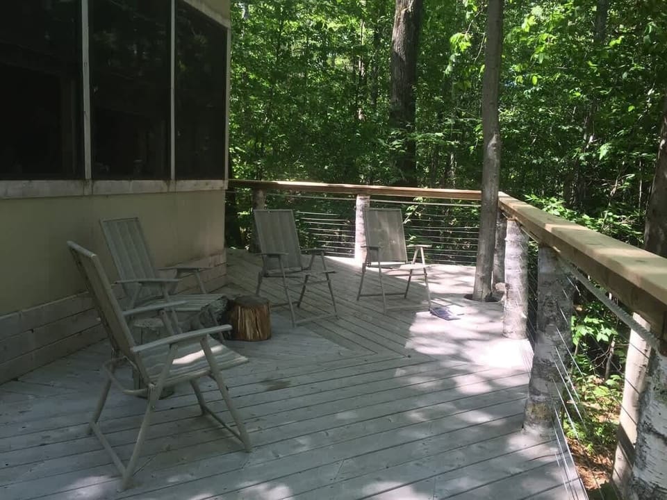Room to linger among the trees.