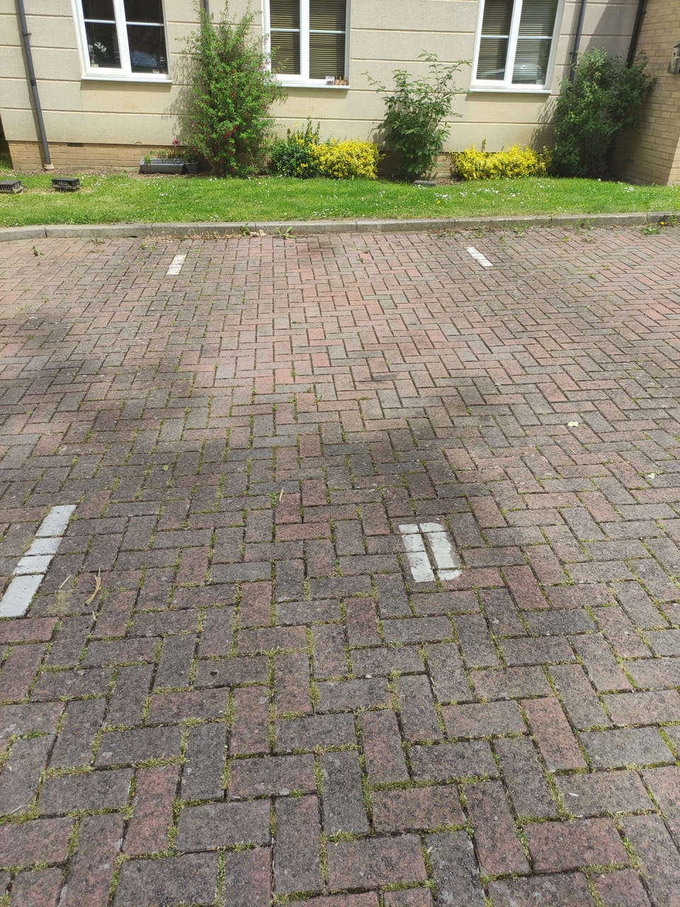 Image 12