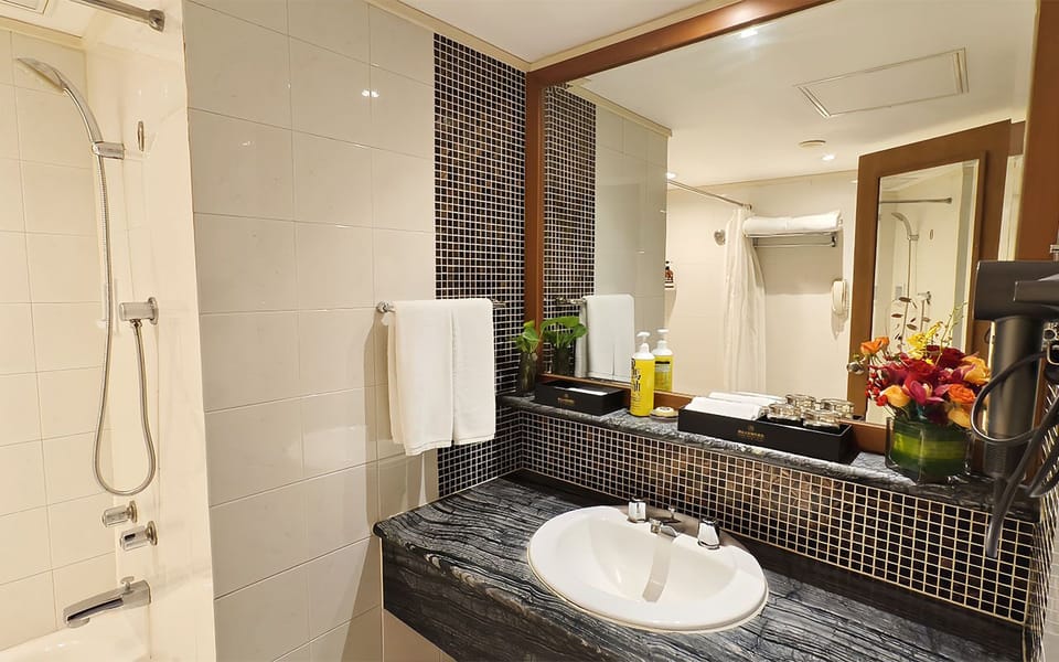 Combined shower/tub, eco-friendly toiletries, hair dryer, bathrobes