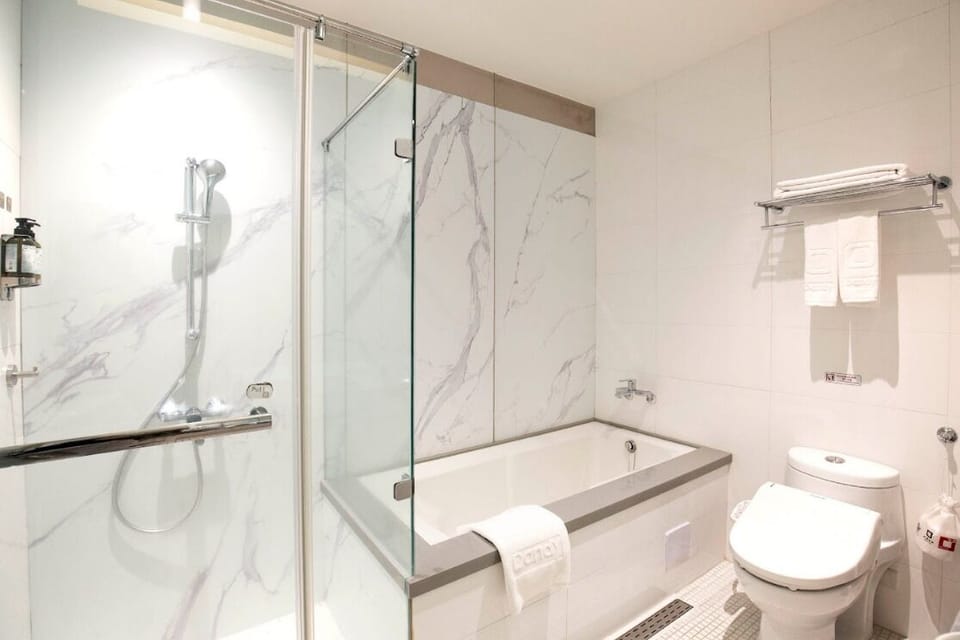 Hair dryer, slippers, bidet, towels