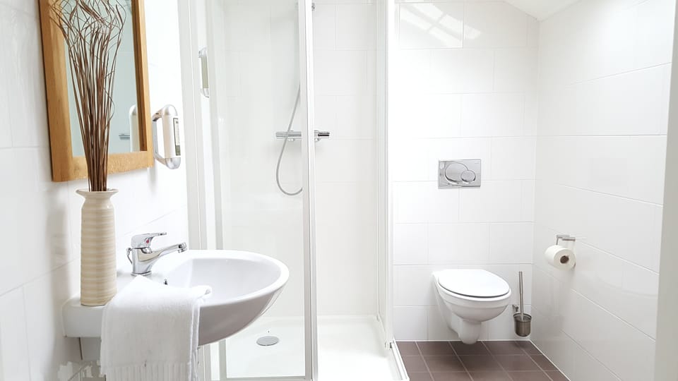 Shower, free toiletries, towels