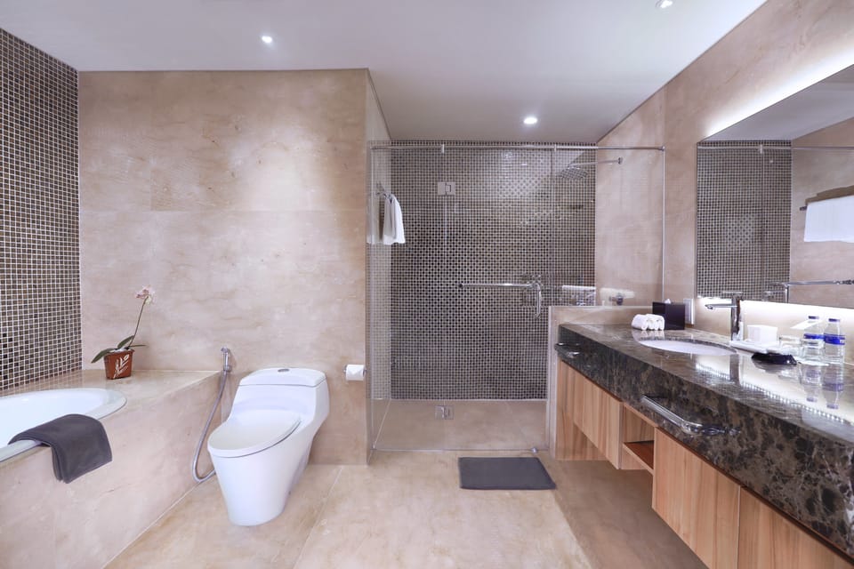 Shower, free toiletries, hair dryer, slippers