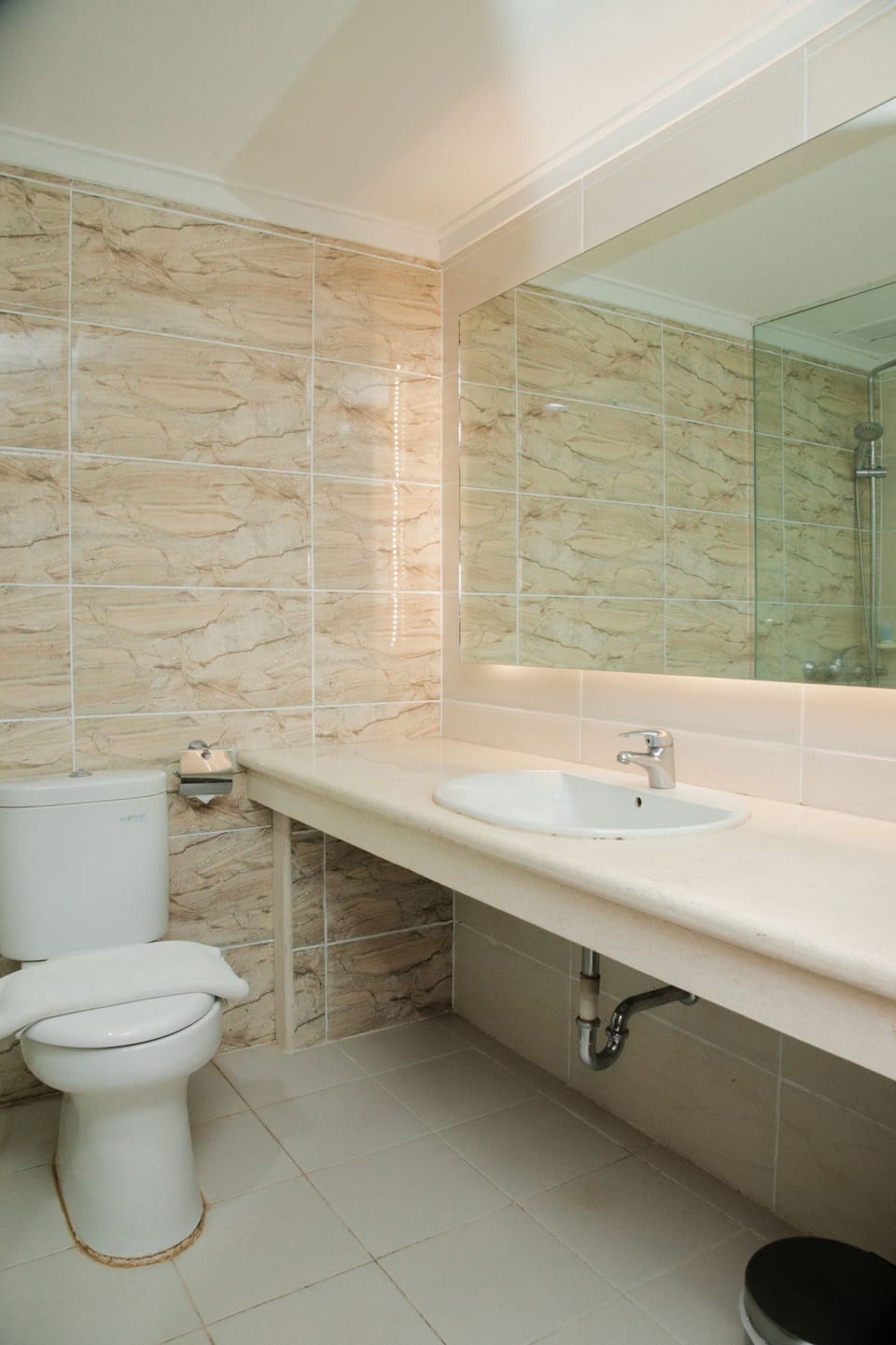Deluxe Suite | Bathroom | Shower, free toiletries, hair dryer (on request), slippers