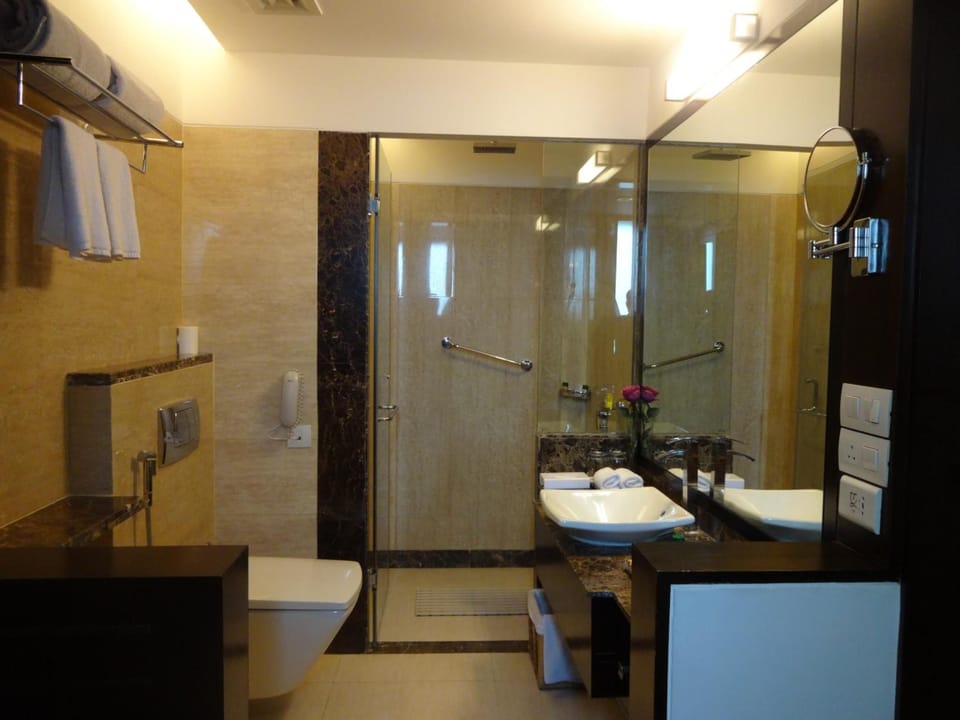 Deluxe Room (Deluxe Room Twin) | Bathroom | Shower, free toiletries, hair dryer, bathrobes