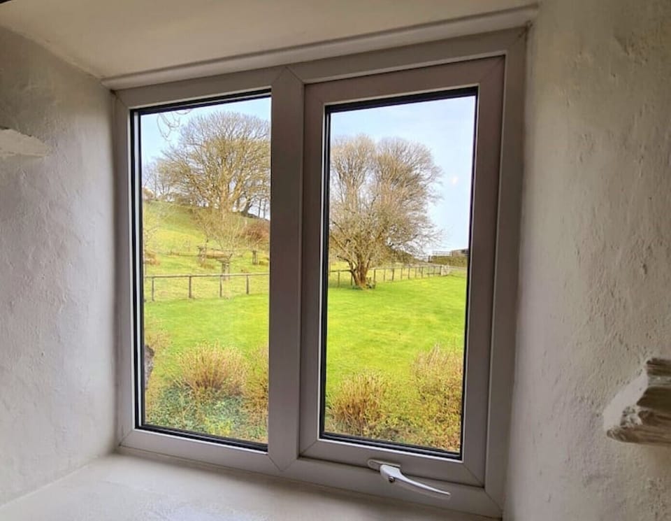 View from the living room