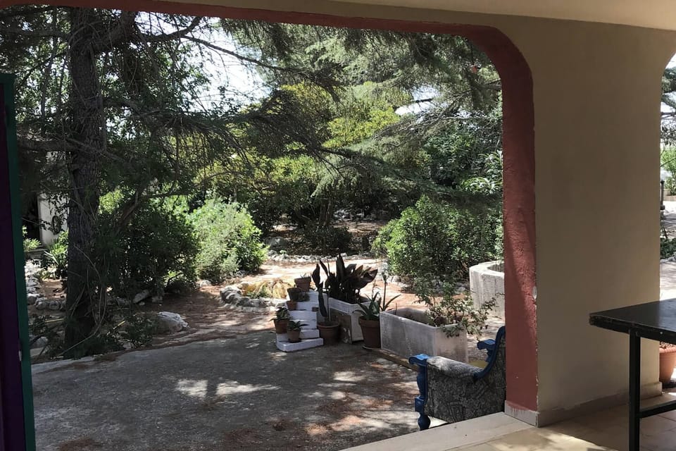 Image 11