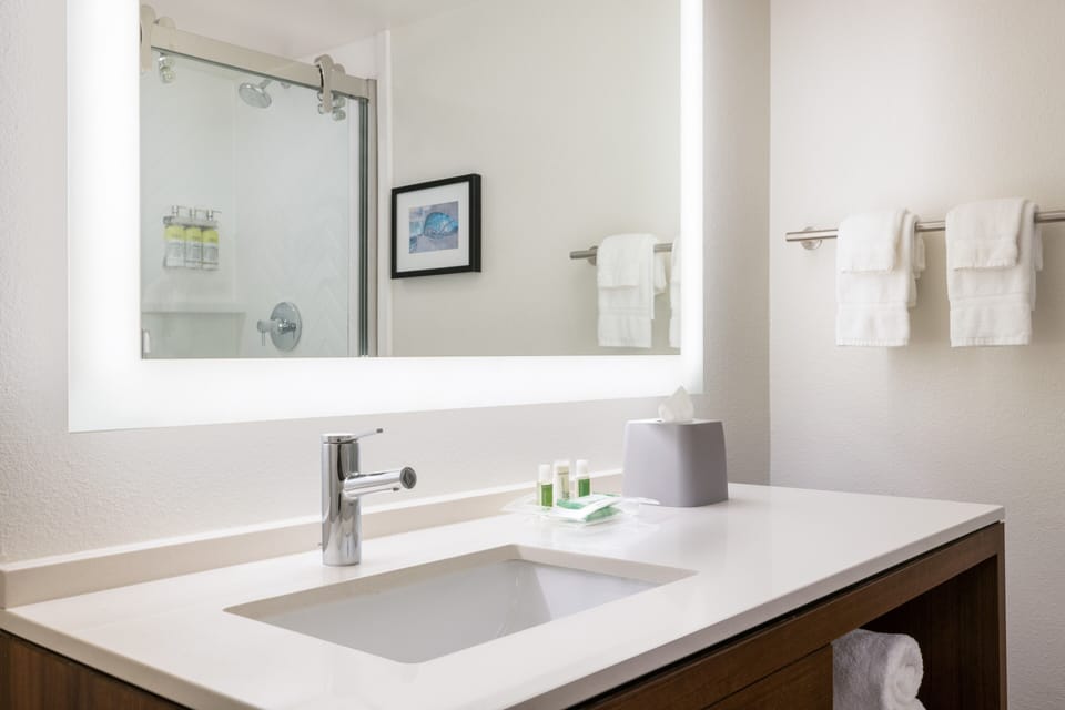 Room, 1 King Bed | Bathroom | Eco-friendly toiletries, hair dryer, towels, soap