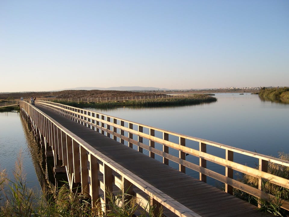 Salgados - famous bird watching walk  
