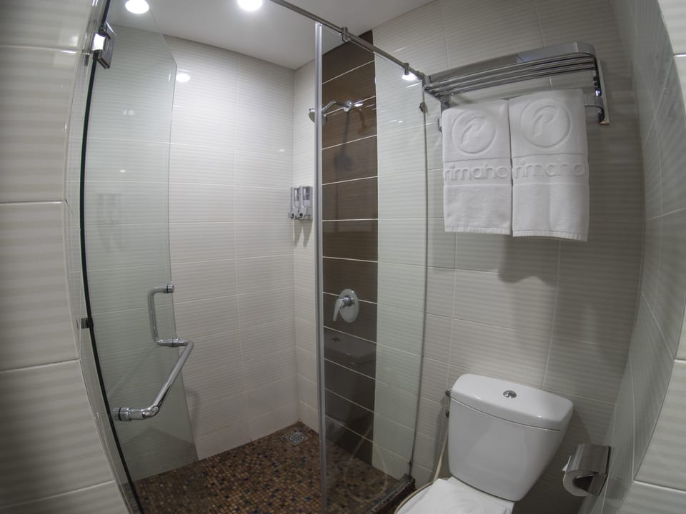 Bathroom shower