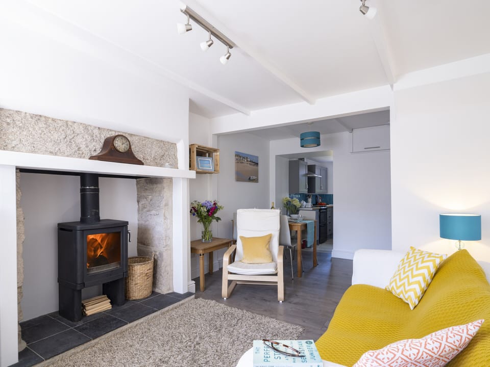 Cosy log burner