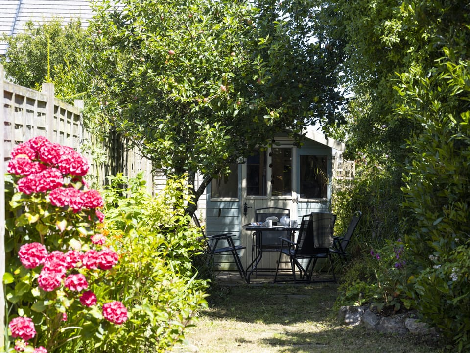 Pretty garden