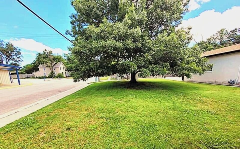 Side Yard