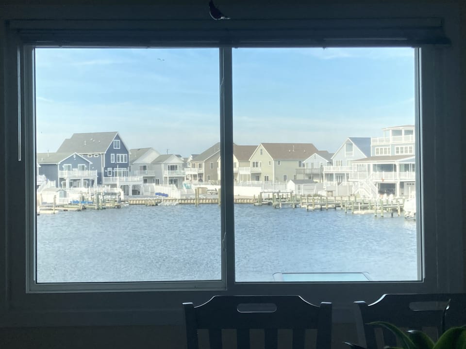 Water Views.   See rare birds fly by :)