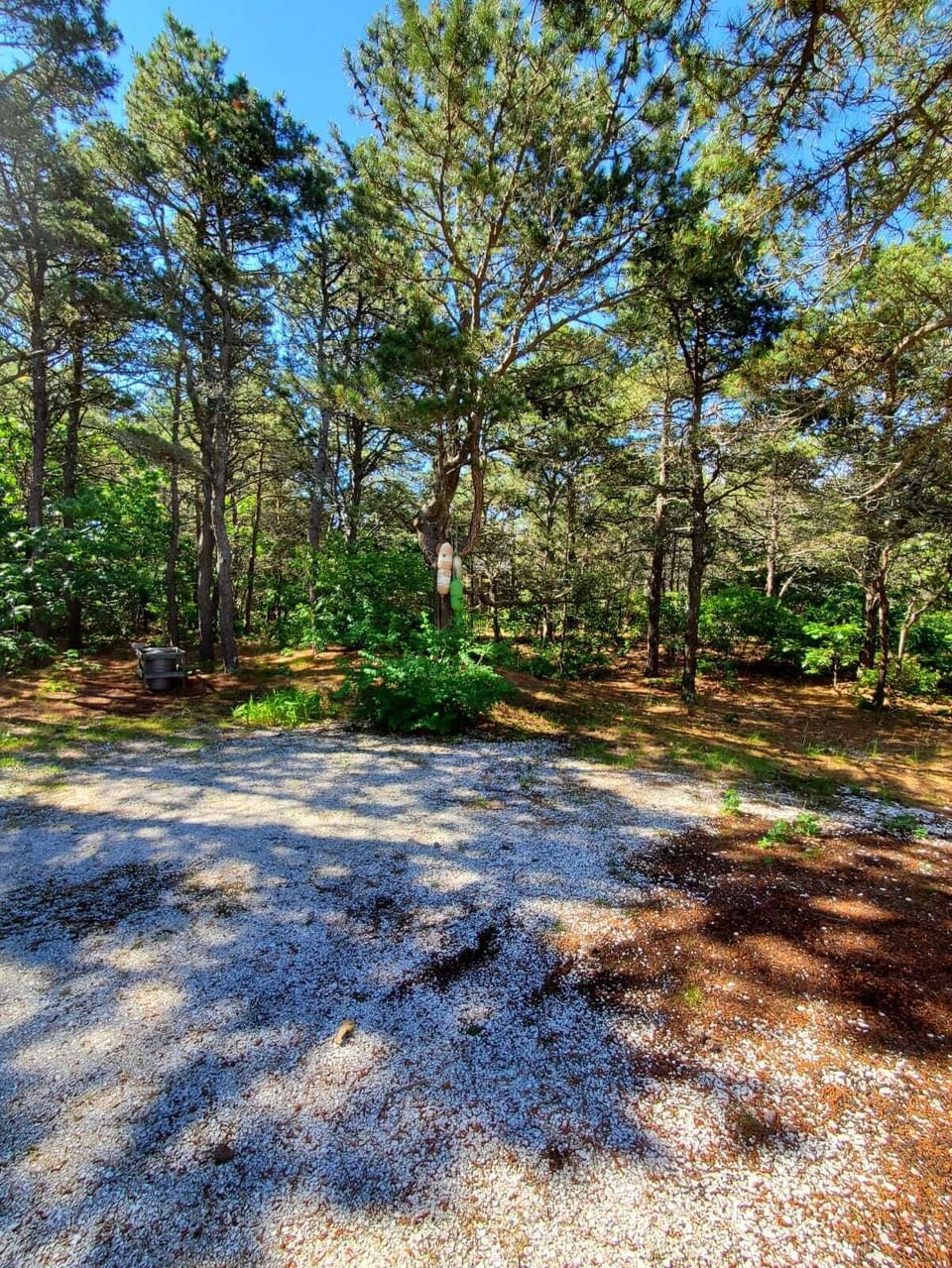 Plenty of parking and privacy.