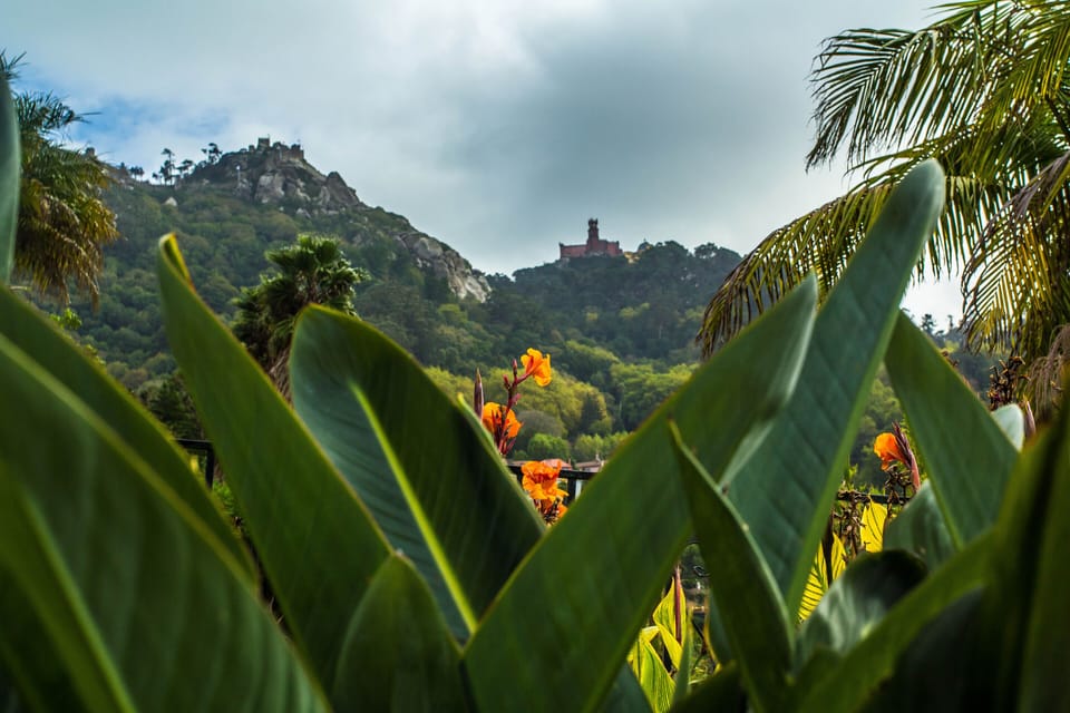 Casa do Valle Bed and Breakfast in Sintra