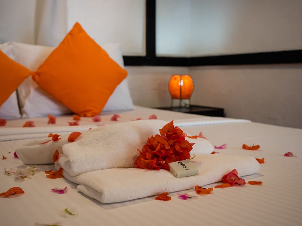 Standard Double Room | In-room safe, soundproofing, free WiFi, bed sheets