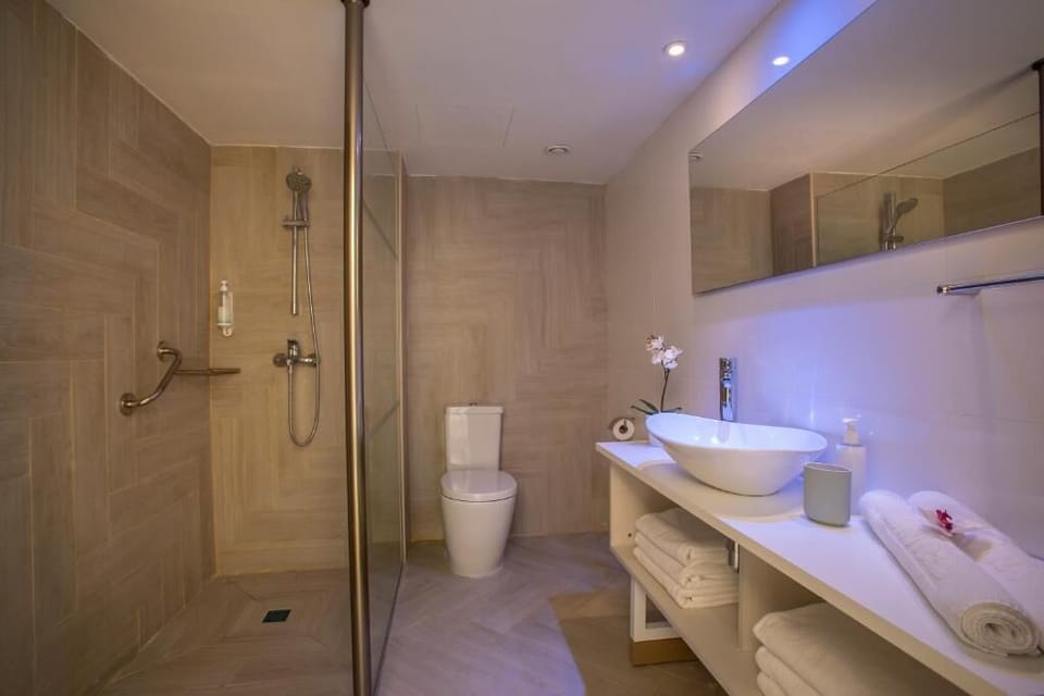 Eco-friendly toiletries, hair dryer, towels