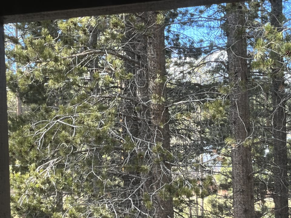 Partial view of Mountain from loft.