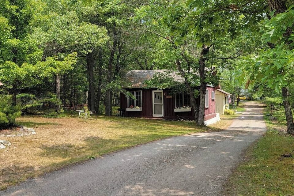 Our Sage Cottage is in amongst the trees.