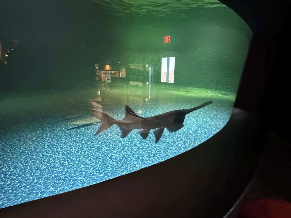 Medicine Park Aquarium and Wildlife Center