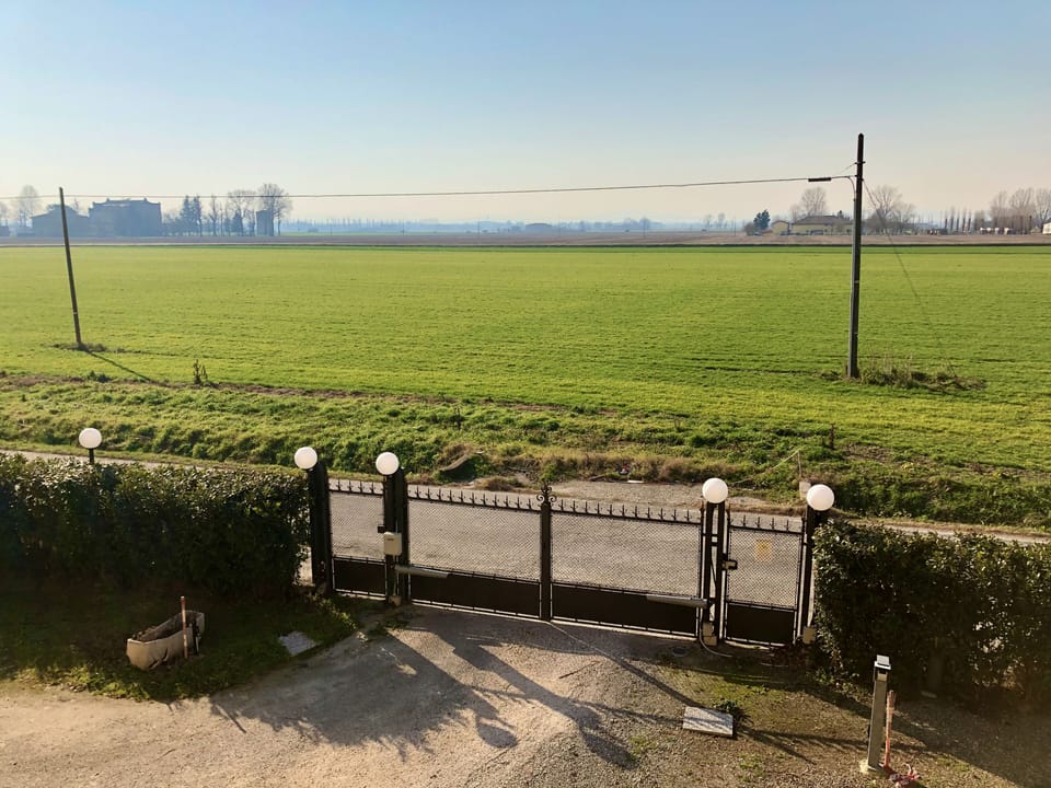 View from room