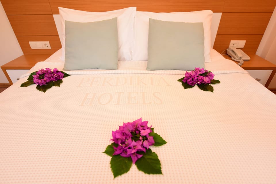 Minibar, desk, iron/ironing board, free WiFi