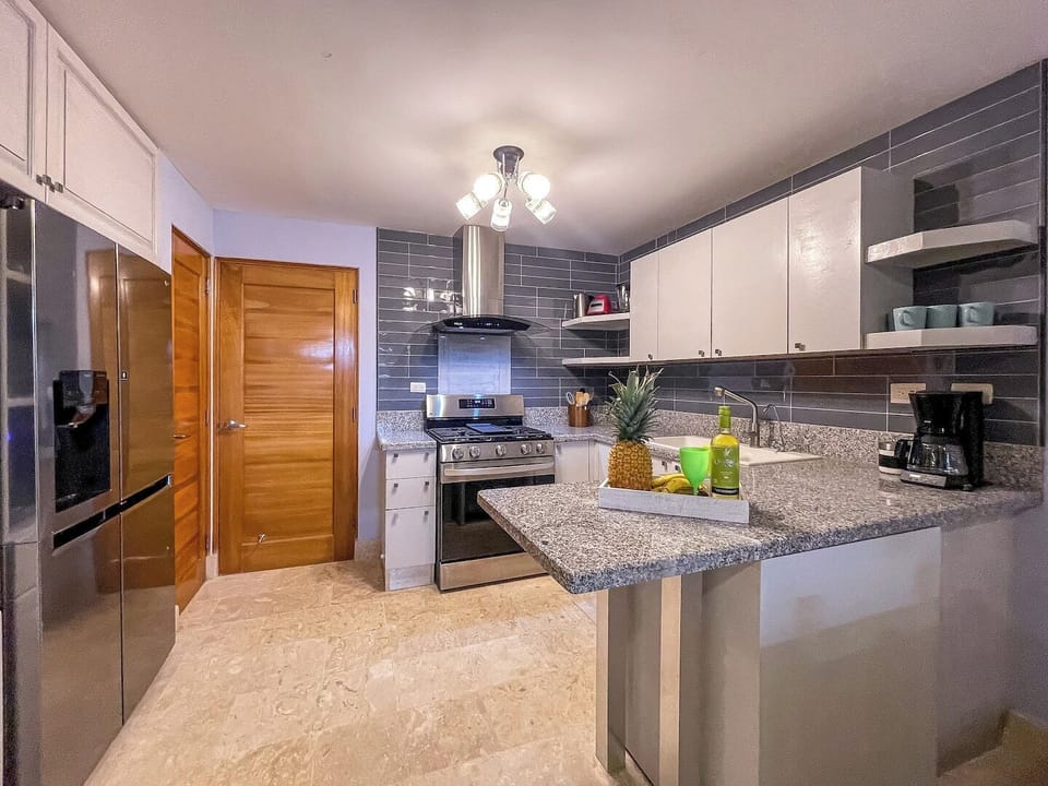 Fully equipped designer kitchen , filtered water and ice maker