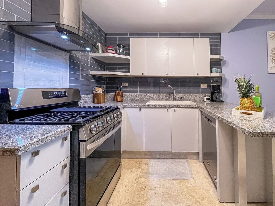 Top of the line appliances 