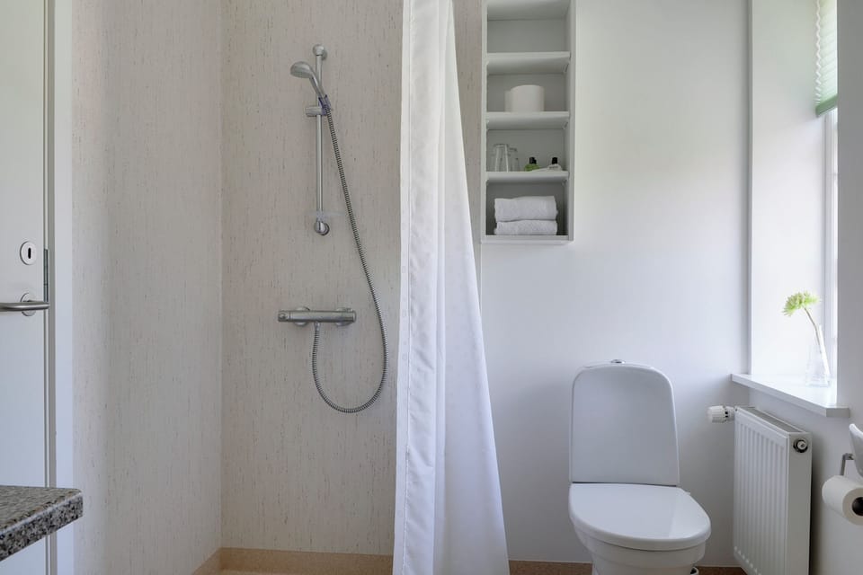 Shower, free toiletries, hair dryer, towels