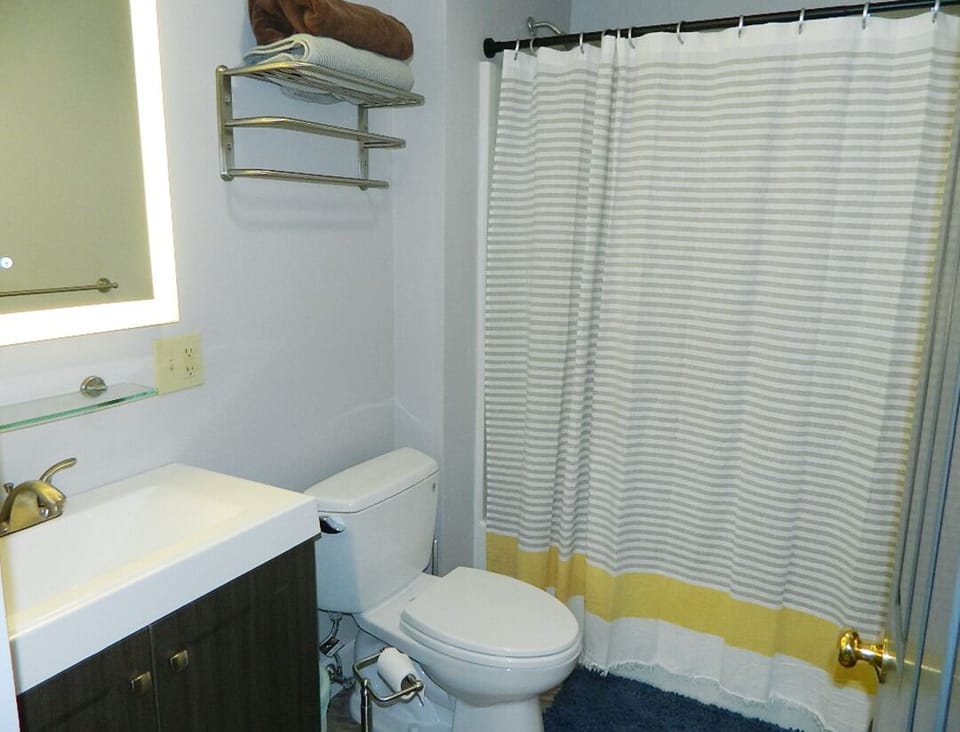 Lower Level Bathroom