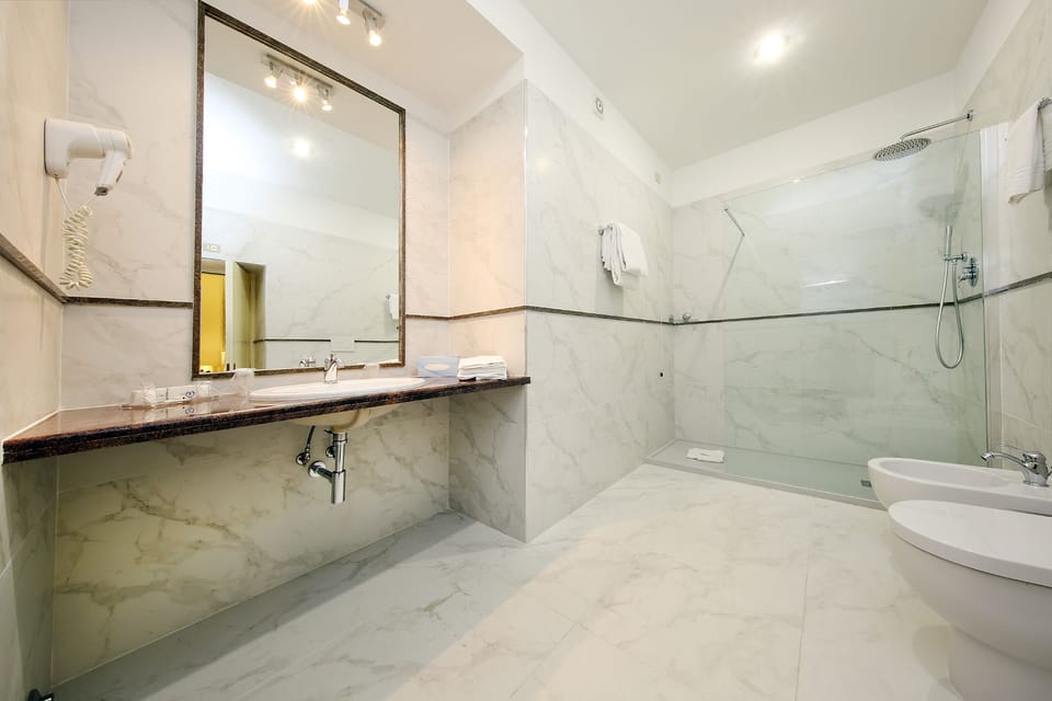 Combined shower/tub, hair dryer, bidet, towels