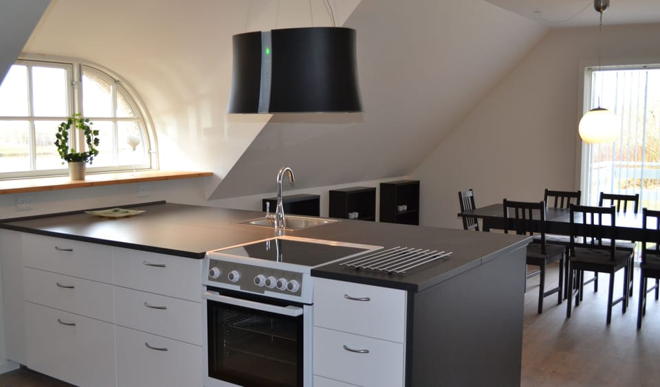 Deluxe Apartment | Private kitchen | Fridge, coffee/tea maker, electric kettle, toaster
